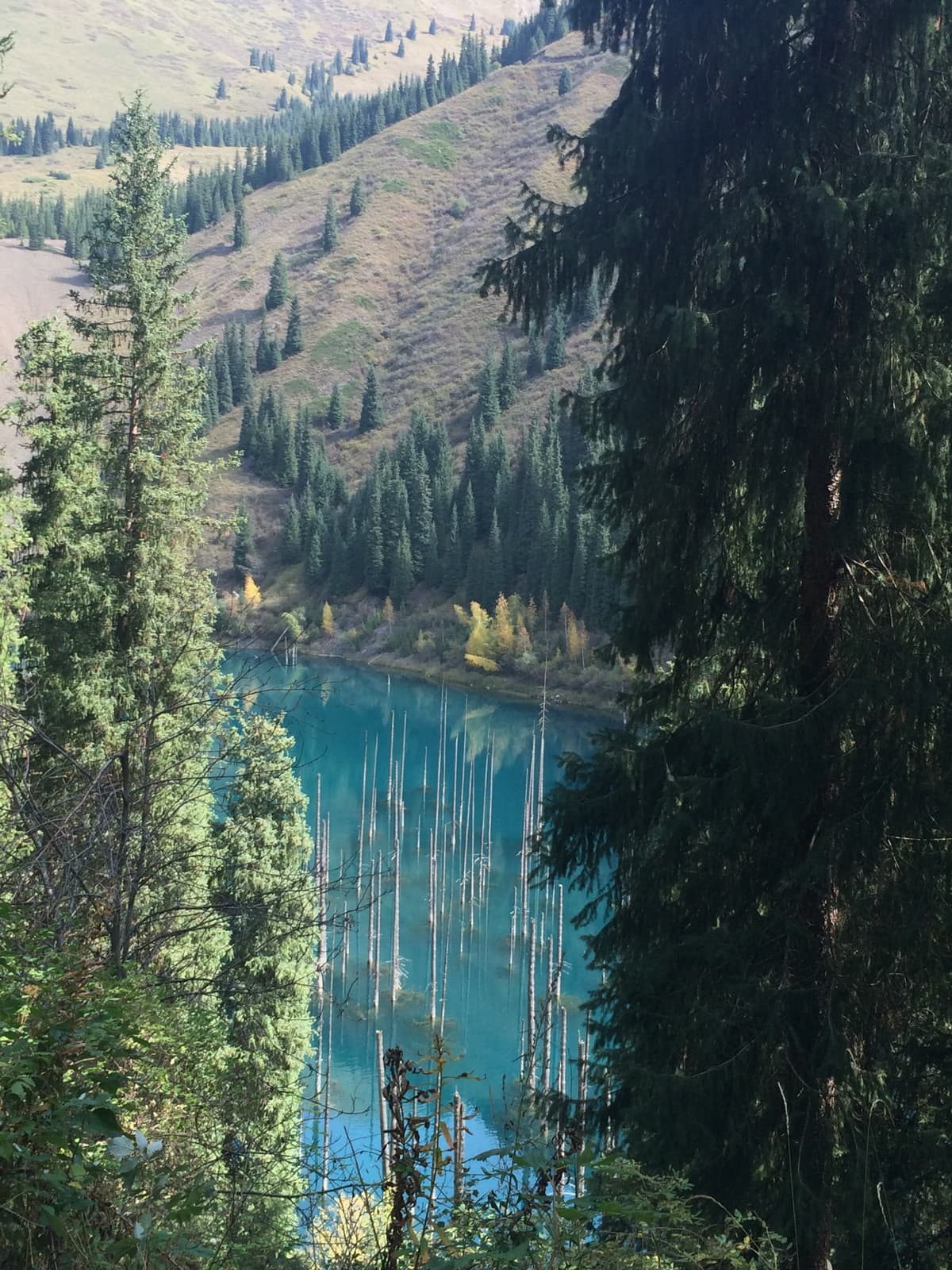 Mountain lake landscape