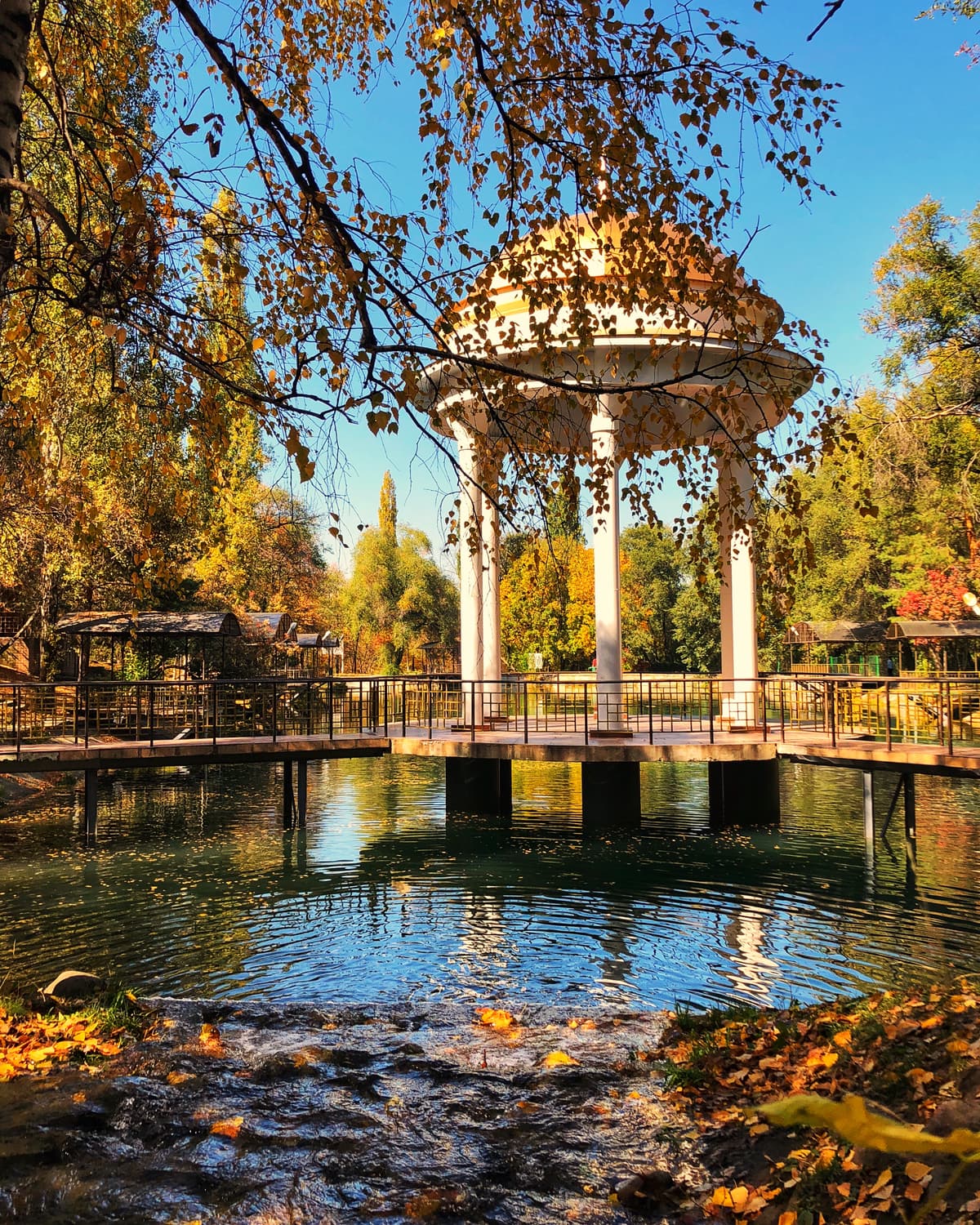 Autumn trees by the water